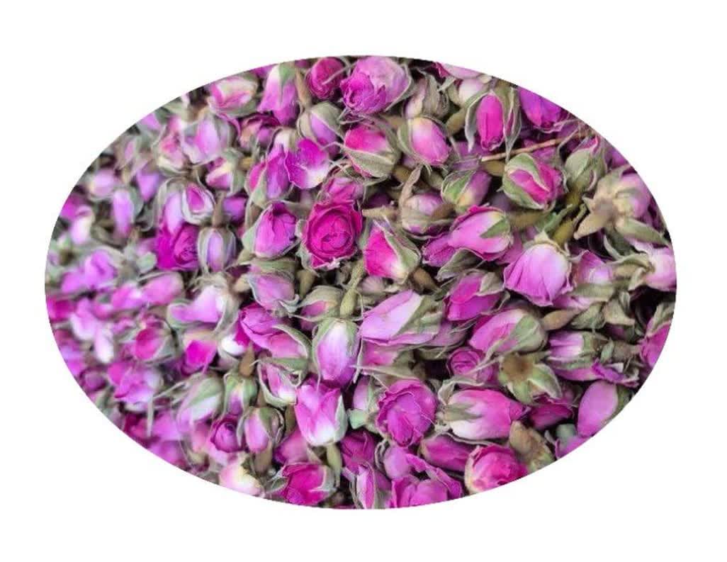  damask Rose