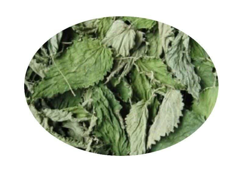 nettle