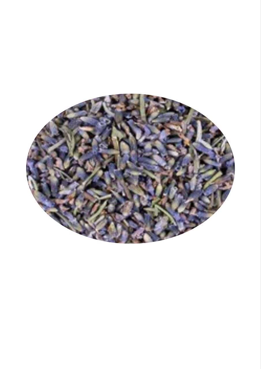  اسطوخودوس