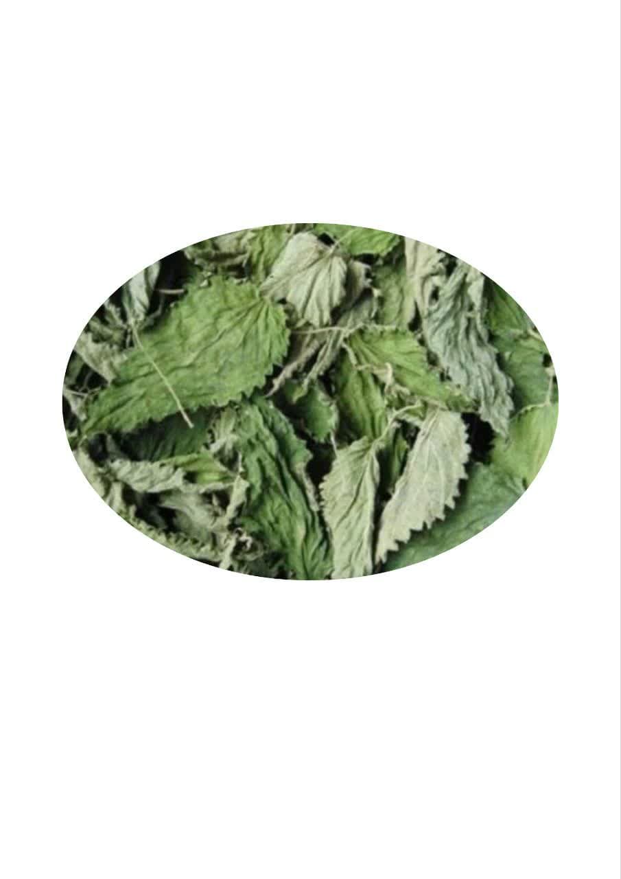 گزنه 